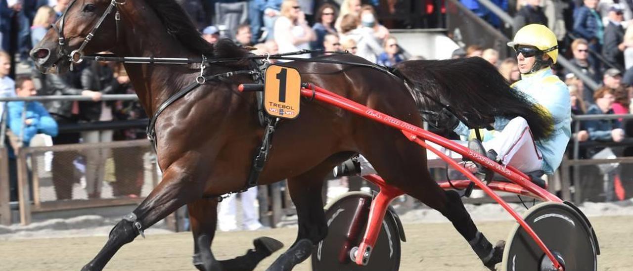 Trébol, con Biel Pou, en su actuación del año pasado en el hipódromo noruego de Oslo.