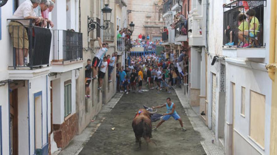 El toro cerril que falleció en Petrés, durante la suelta de la tarde