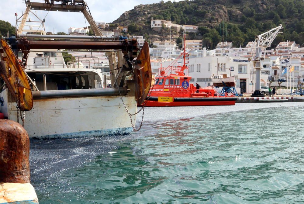 Apareixen milers d'exemplars d'una espècie de medusa a la Costa Brava