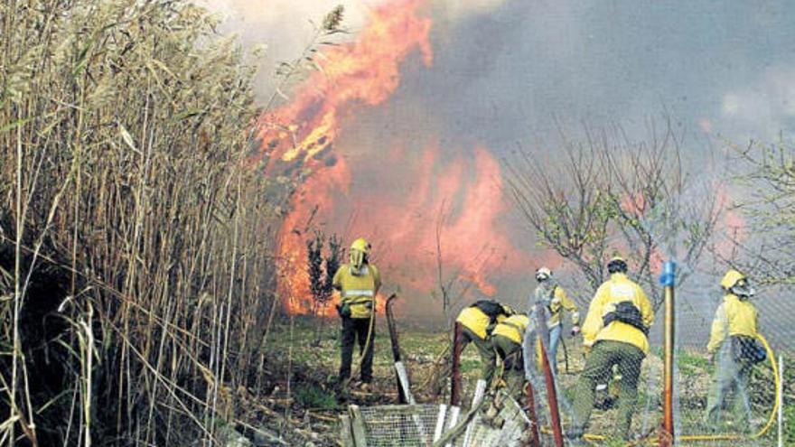 Feuer zerstört 40 Hektar Schilf bei s&#039;Albufera