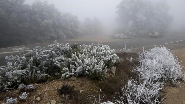 icoy36724249 niebla frio170107195209