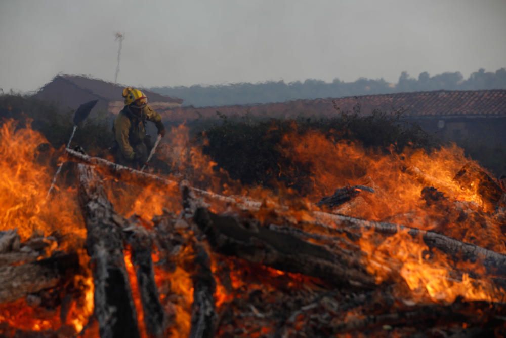 Incendio Aliste