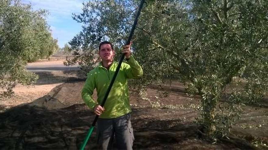 El agricultor Antonio Bravo, víctima del robo de más de 20.000 kilos de aceitunas en su finca de Fuente de Piedra.