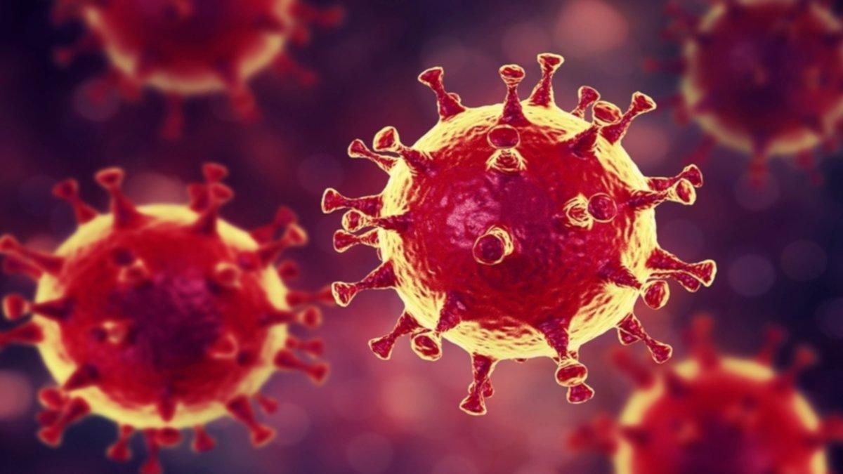 Confirmados los 3 primeros casos de coronavirus en Europa