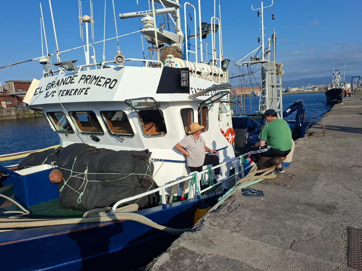 Pescadores en uno de los boniteros tinerfeños que han escogido El Musel como base en la costera del bonito.