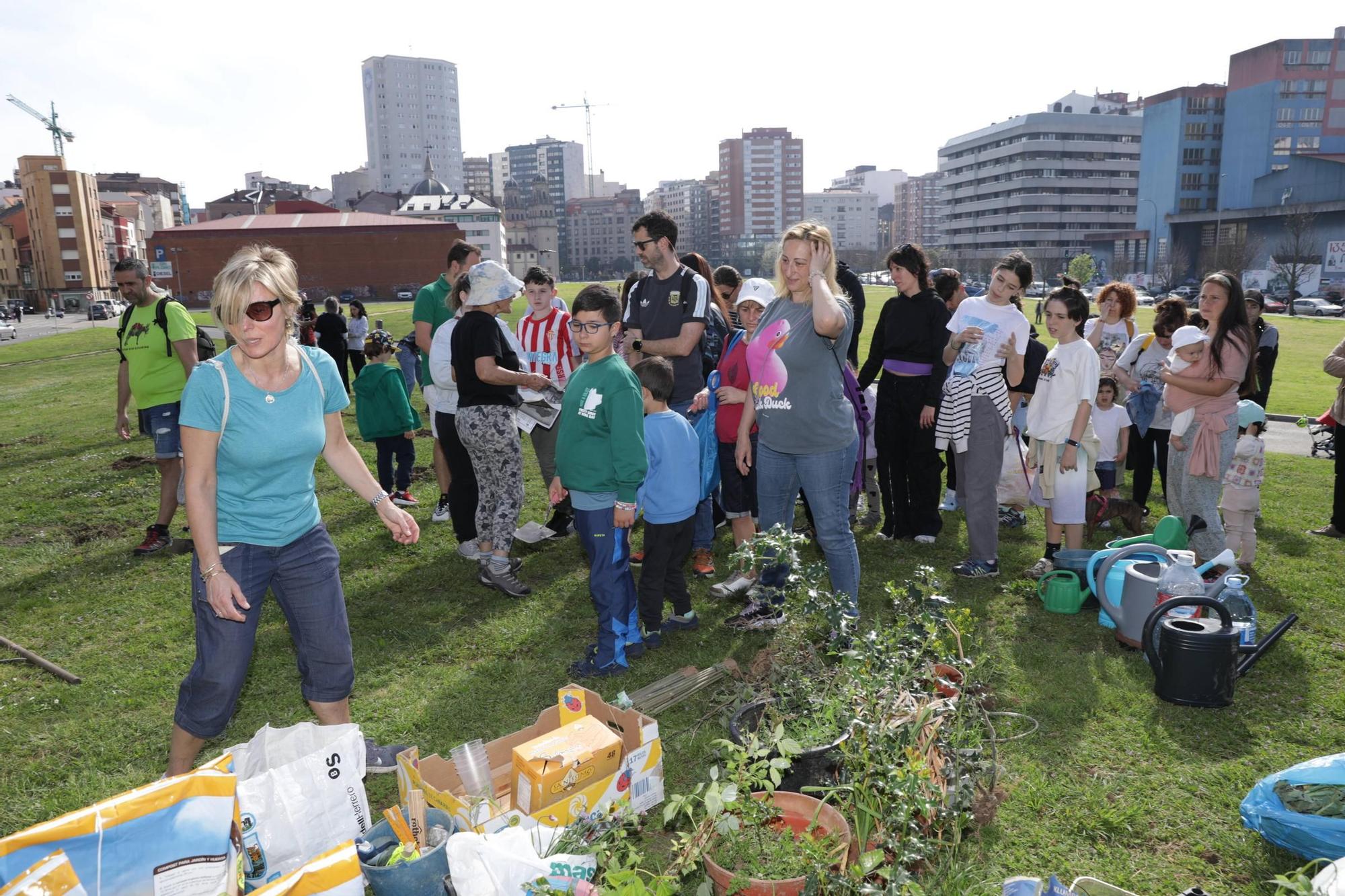 Así fue la plantación de árboles en el Solarón (en imágenes)