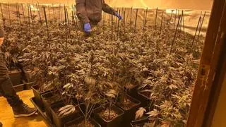 Catalunya se convierte en la puerta de entrada de la droga a Europa: se disparan las investigaciones por narcotráfico