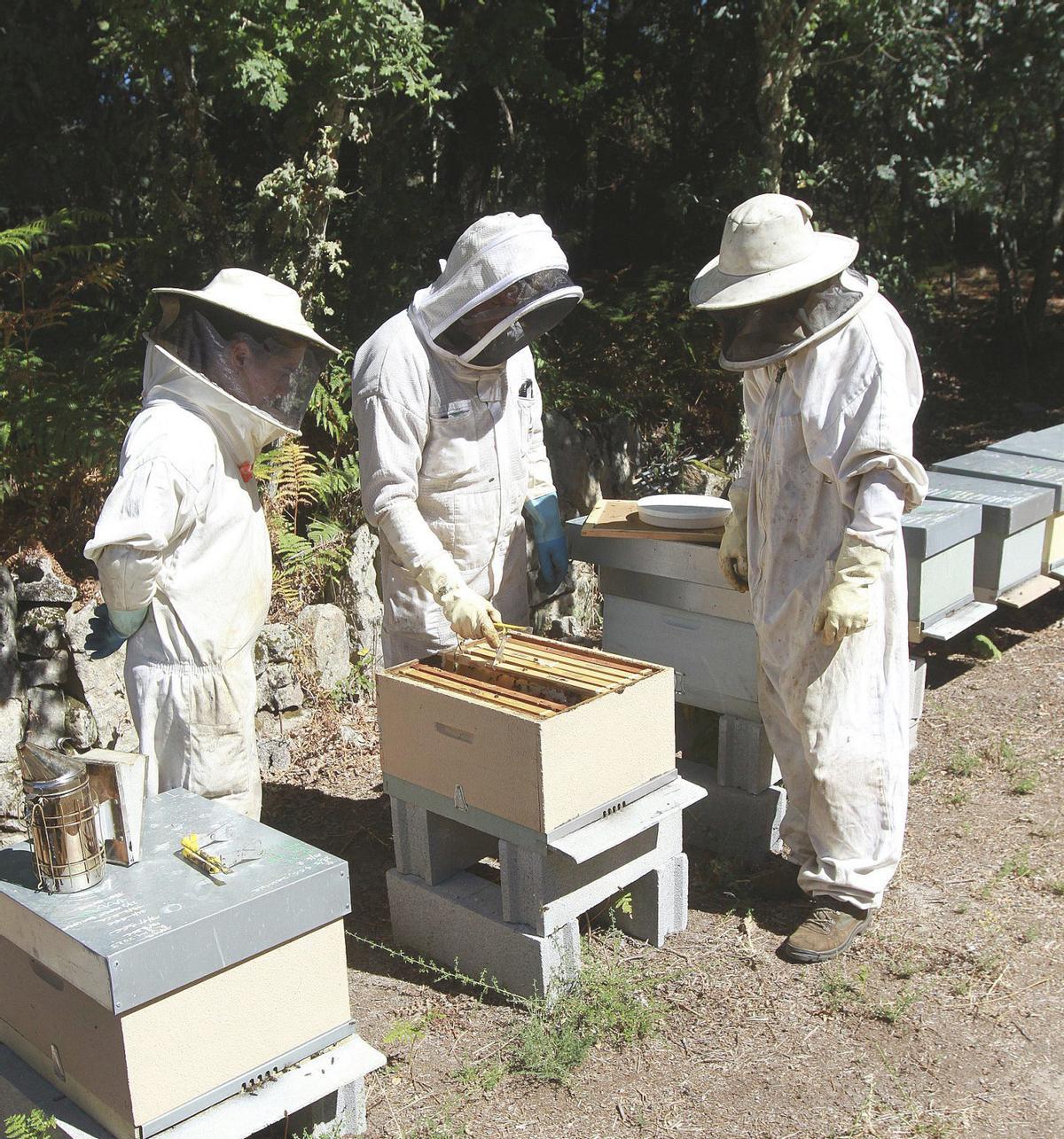 Apicultores en Entrimo, en una imagen de archivo.