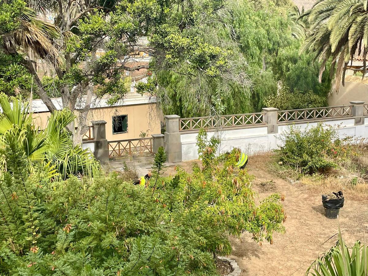 Imagen de uno de los rincones del jardín de la Casa Condal con algunos de los operarios trabajando.