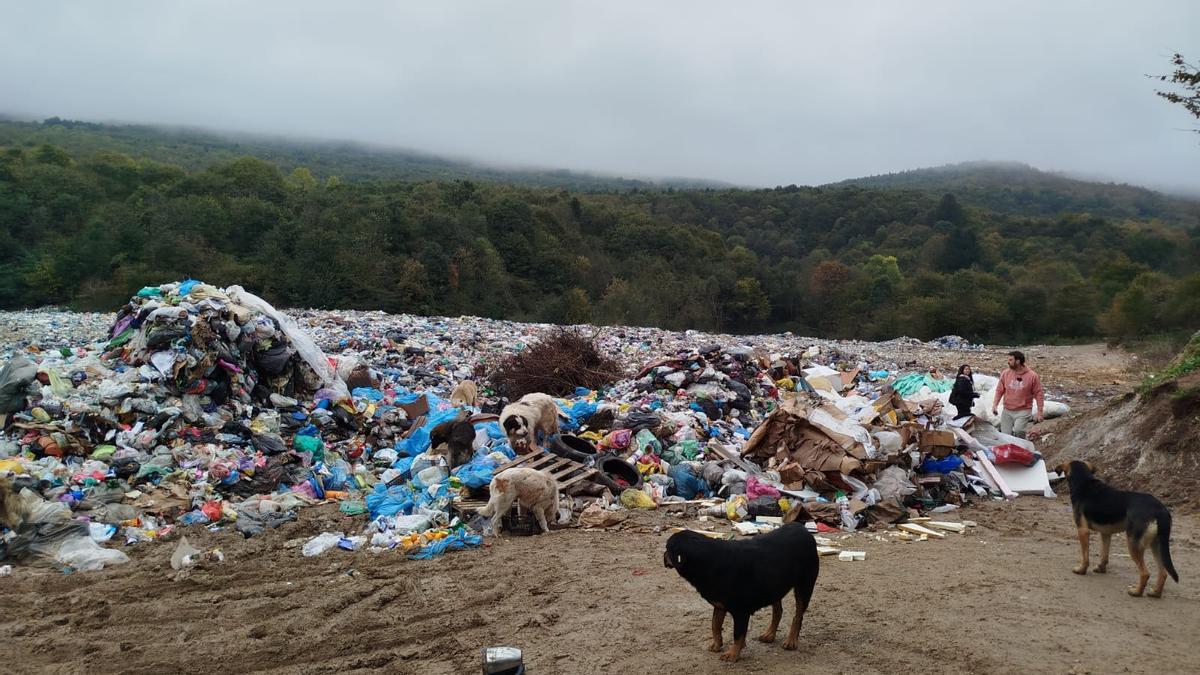 Una pareja tinerfeña ayuda a los perros abandonados en Bosnia