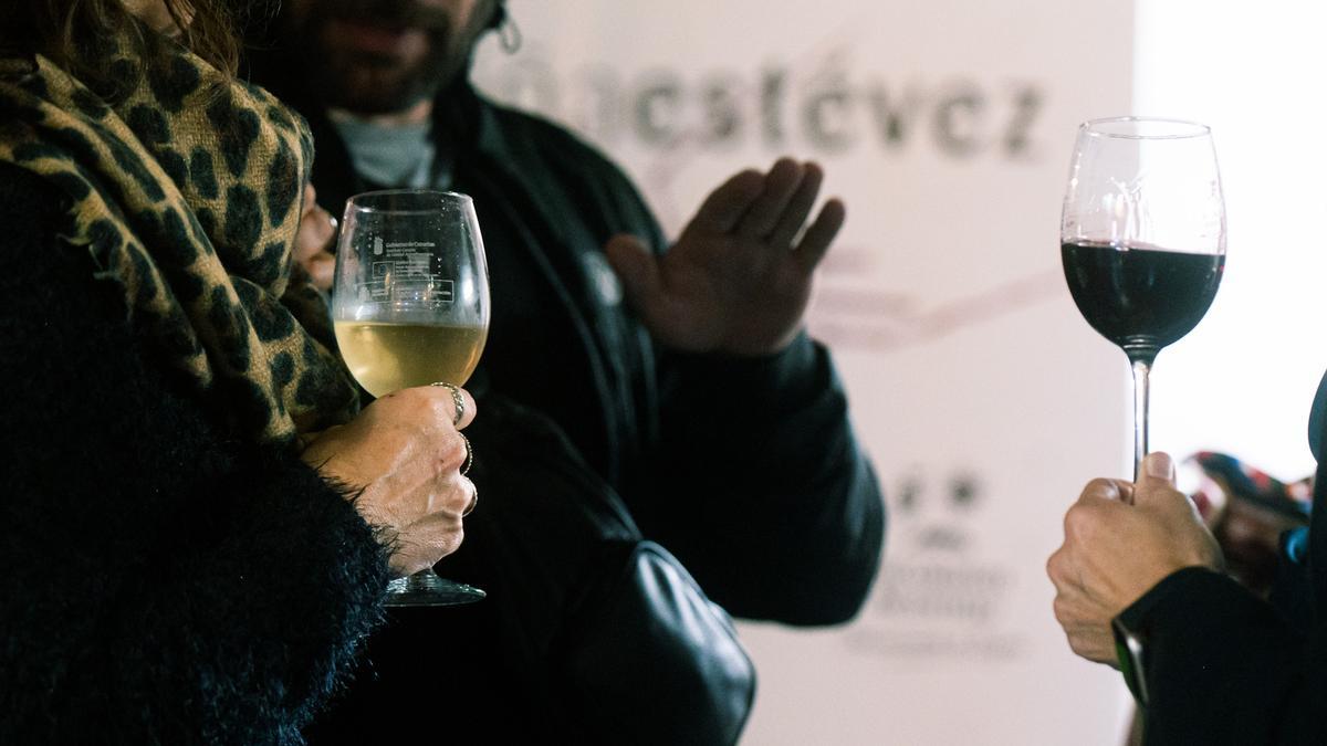 La ‘Noche en Tinto’ se celebra el próximo 27 de noviembre.