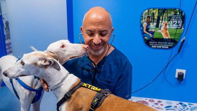 El veterinario Fernando Ribas del Río en su consulta en Ibiza. | CLÍNICA VETERINARIA SAN JORGE