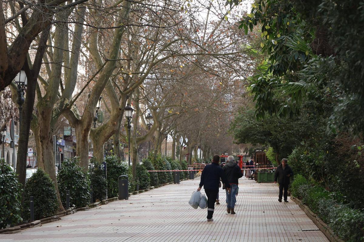 FOTOGALERÍA | La esperada reforma del Paseo de Cánovas de Cáceres, más cerca
