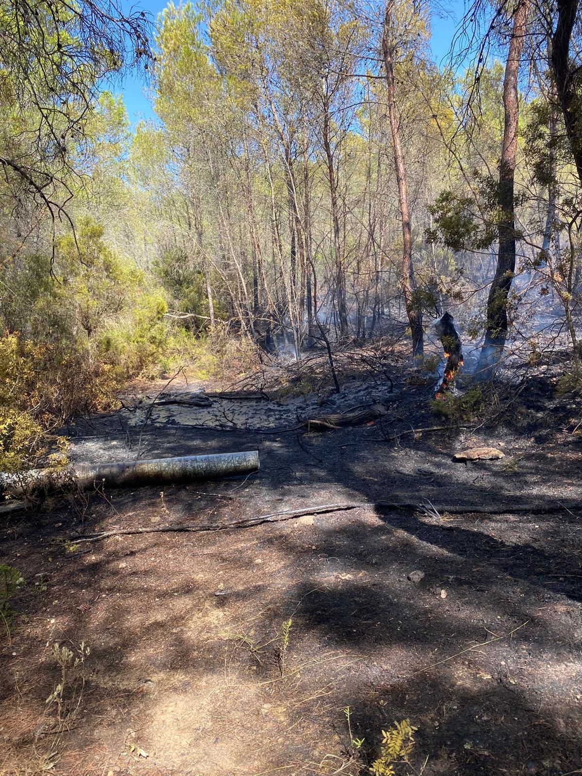 Declarado un incendio forestal en Santa Eulària