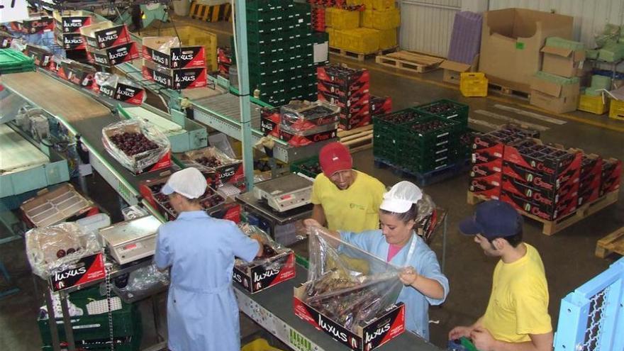 Las exportaciones en Extremadura alcanzaron los 152,8 millones