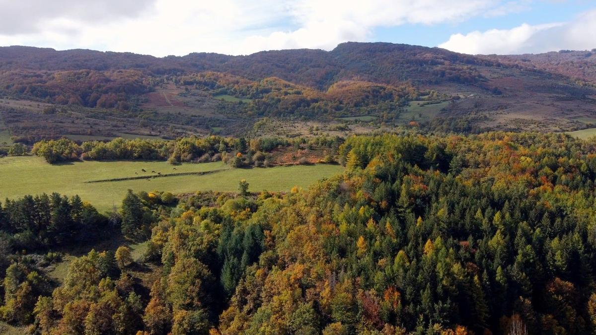 Paisaje de Navarra