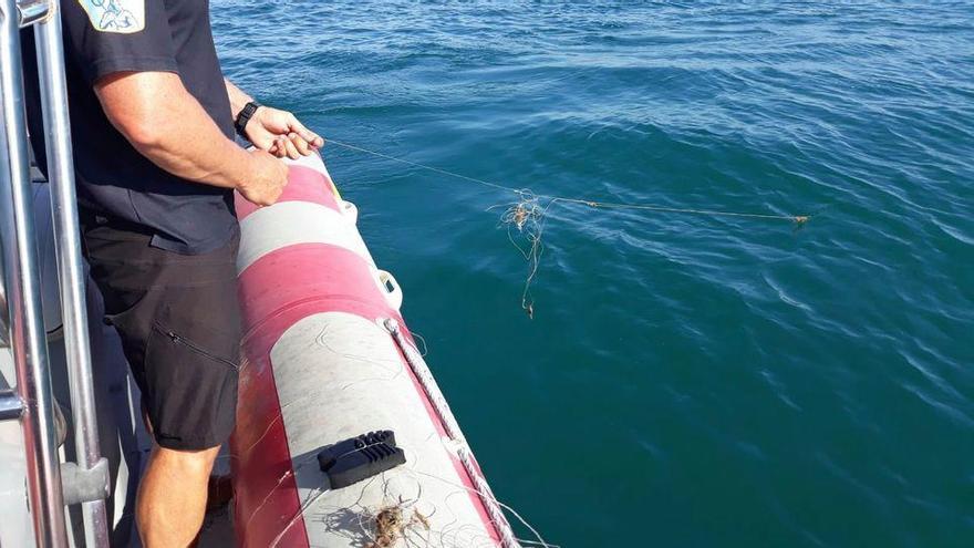 Palangre ilegal incautado esta mañana en una playa ilicitana por las autoridades