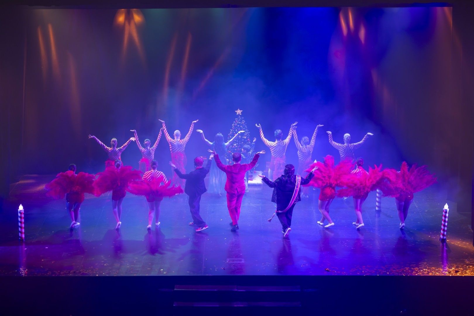 Las mejores imágenes del pregón y la gala del Carnaval 2026 de Torrevieja están aquí