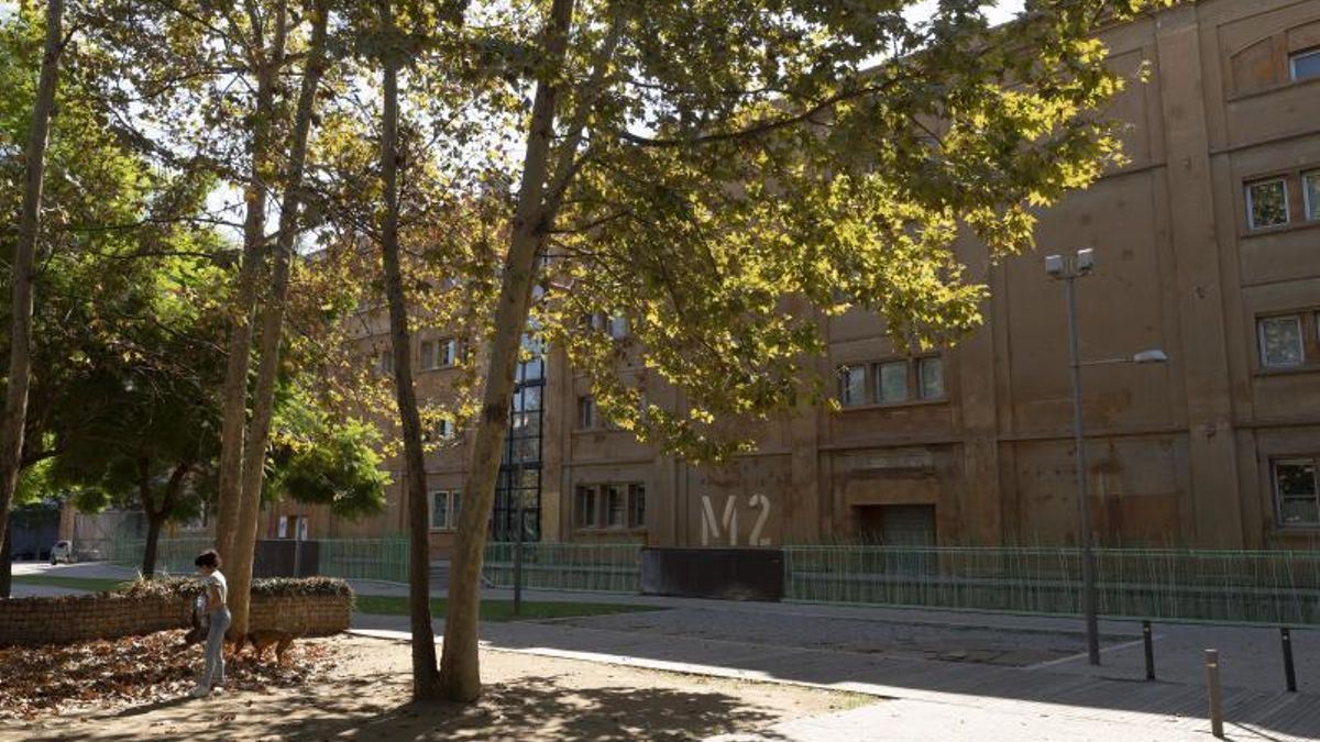 La segunda biblioteca estatal más grande de Catalunya estará en Tarragona: el Ministerio de Cultura invertirá 20 millones