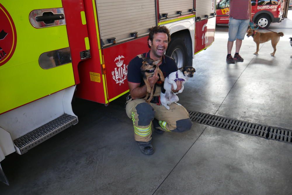 Los bomberos, en la campaña con las mascotas.