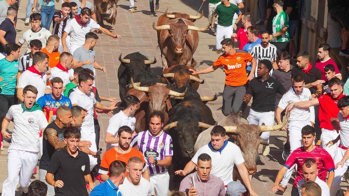 Las peñas endurecen su pulso contra el nuevo reglamento de 'bous al carrer': "Está redactado por alguien que no pisa la arena