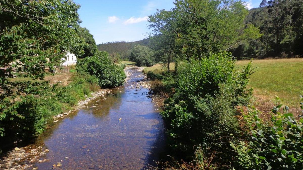 Los ríos españoles están viendo cambiar su fauna