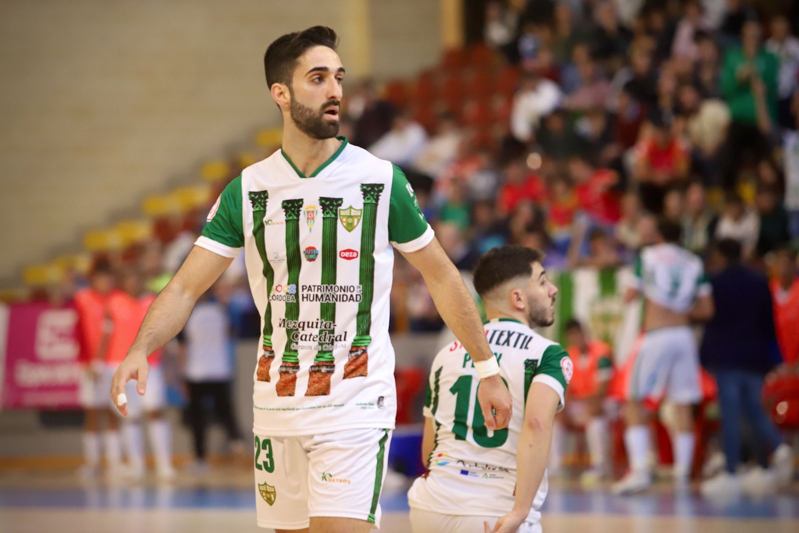 Córdoba Futsal - Manzanares : el partido en Vista Alegre en imágenes