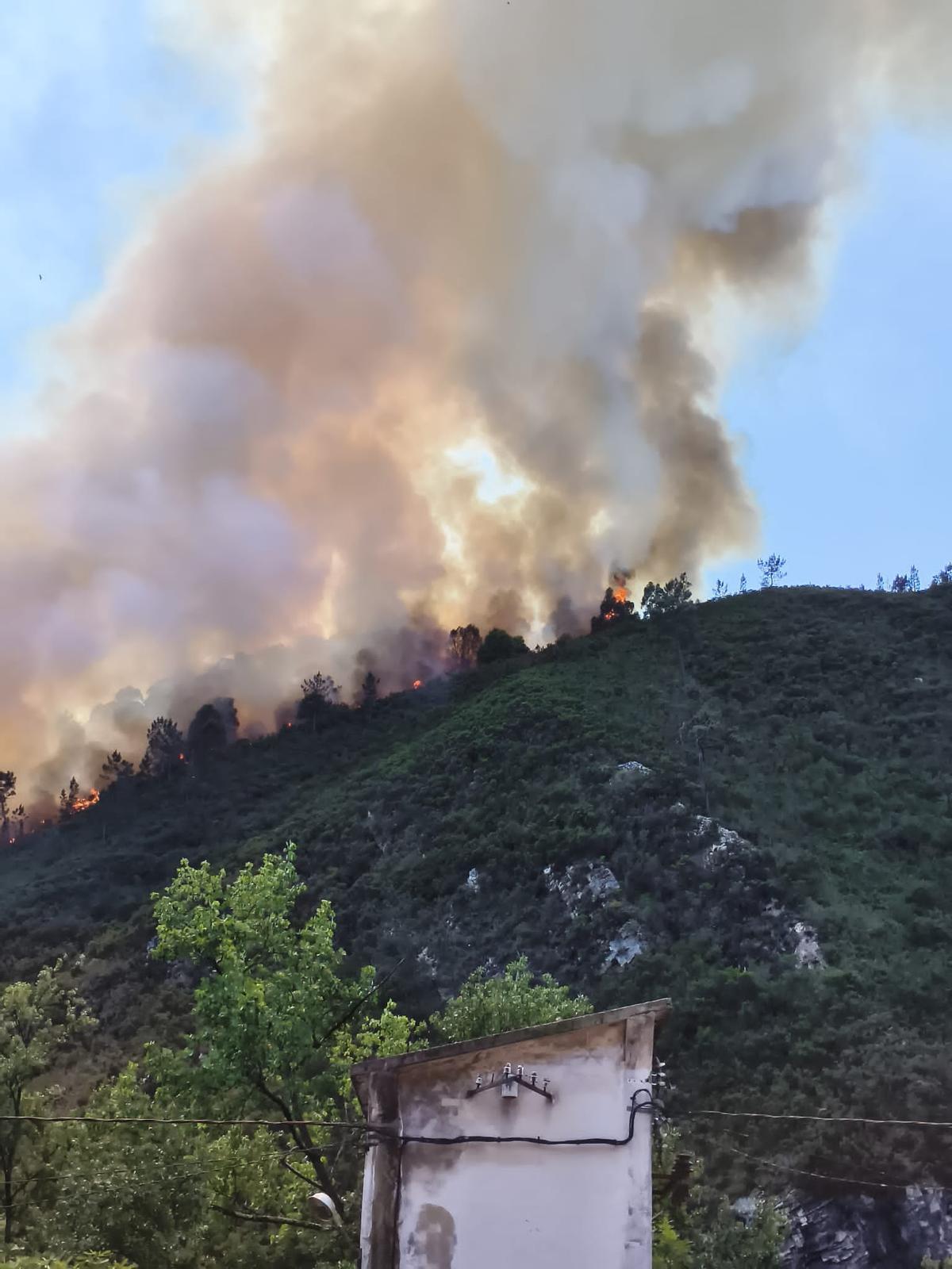 Vista del fuego.