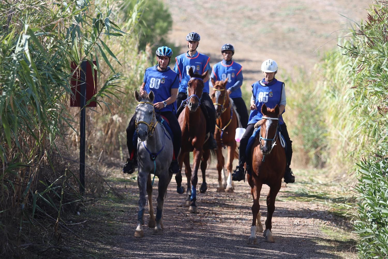 El Raid Hípico El Cañuelo, en imágenes