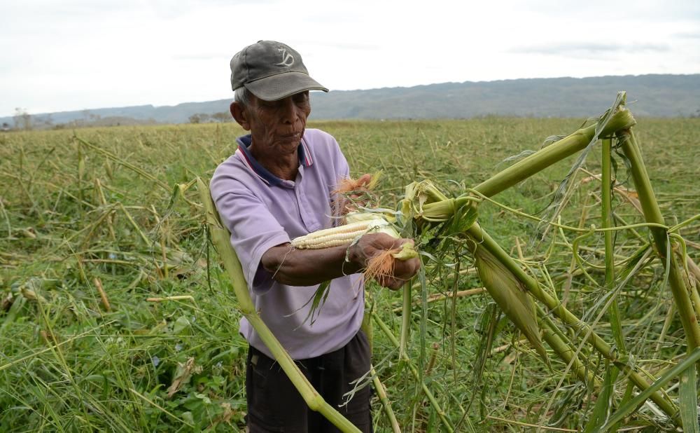 Llegan a 29 los muertos en Filipinas tras el paso del tifón Mangkhut