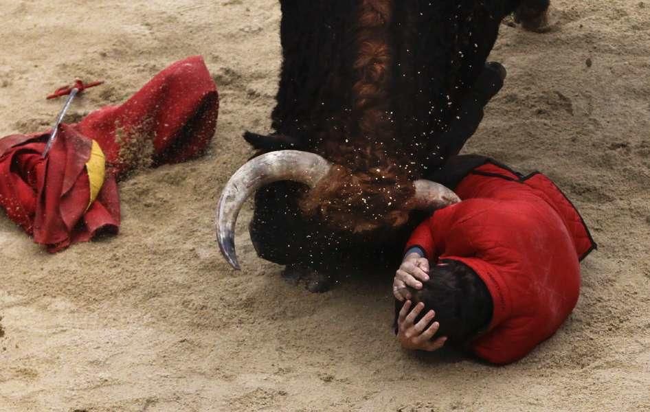 Festejos del Carnaval del Toro