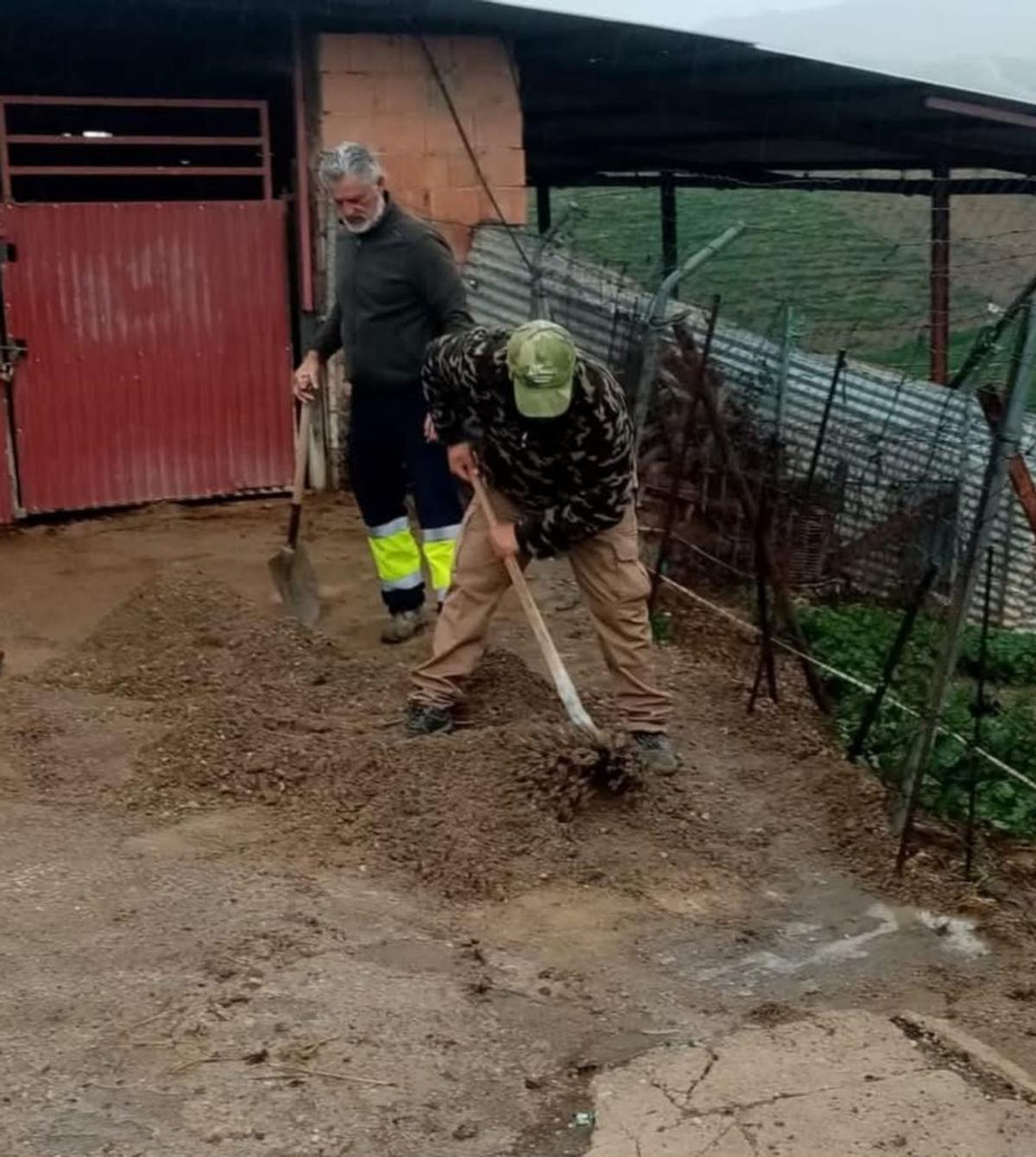 La otra cara de la moneda la representan los daños en fincas y aperos. | AYUNTAMIENTO DE ARDALES