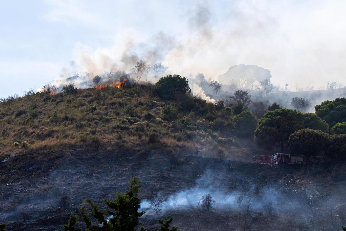 Un incendio forestal se declara en el Parque Natural de Collserola Un incendio forestal se declara en el Parque Natural de Collserola
