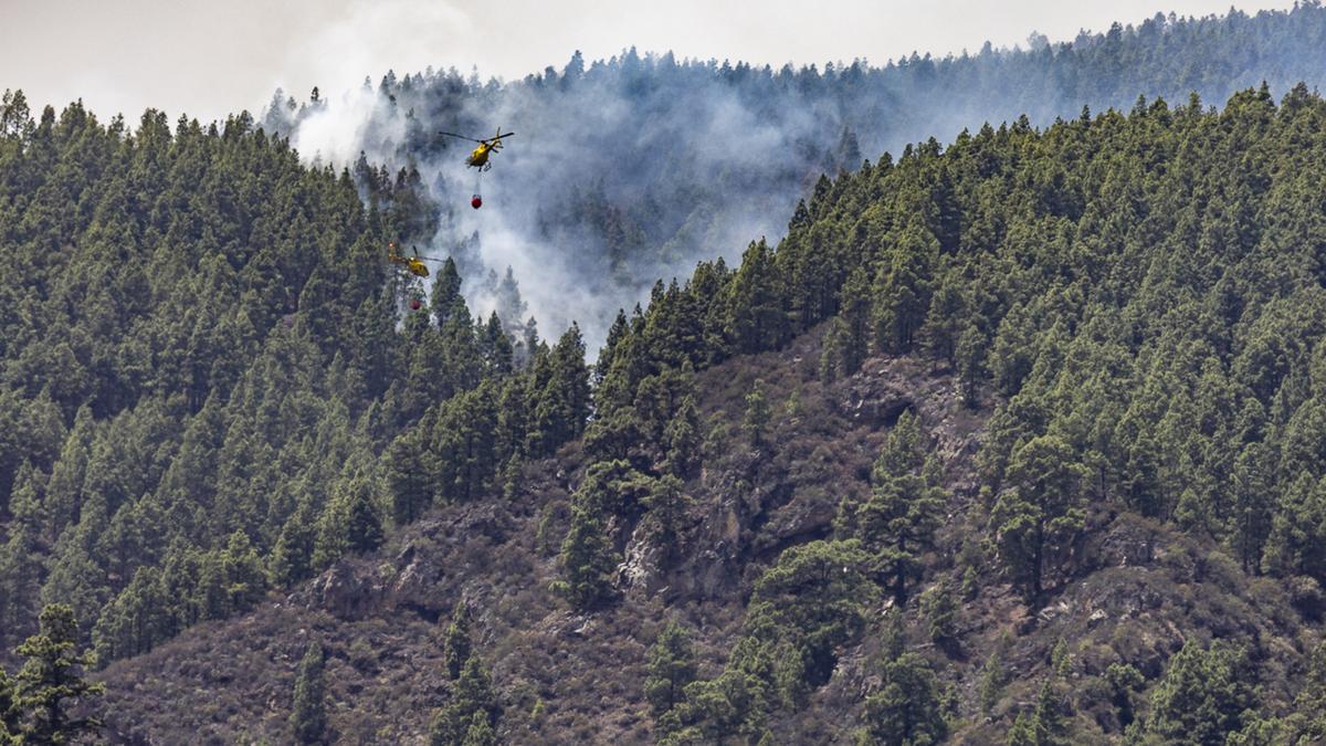 Un hidroavión trabaja en la extinción del fuego de Tenerife.