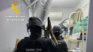 La Guardia Civil detiene a tres personas tras desmantelar una plantación de cannabis en Rafelcofer