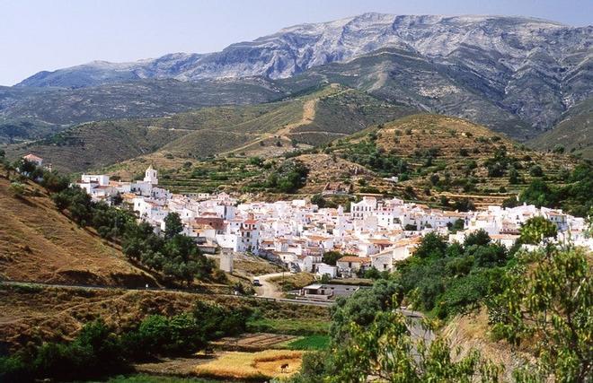 España, Aguacate