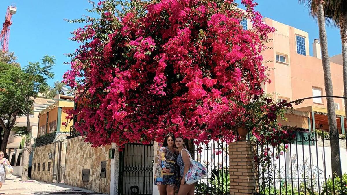 Dos mujeres se toman una foto delante de la buganvilla de la avenida del Lido, en Torremolinos. | LA OPINIÓN