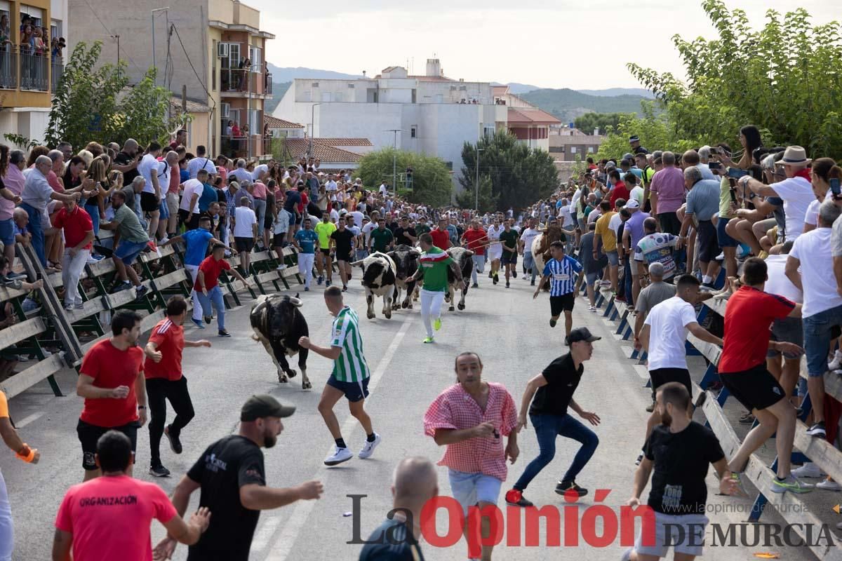 Primer encierro de la Feria del Arroz de Calasparra