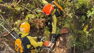 Treinta especialistas siguen buscando por quinto día a María Teresa Pérez, la vecina de San Martín que cayó al río