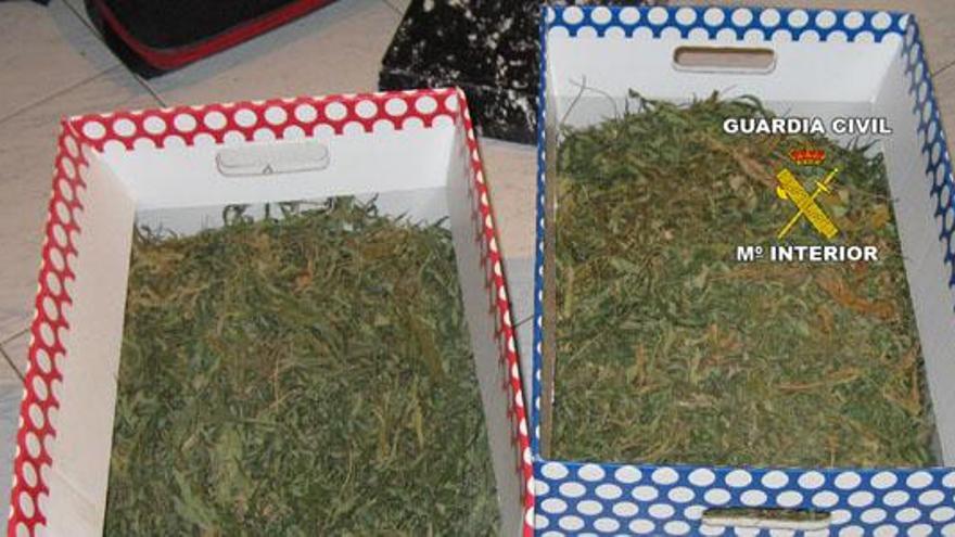Dos detenidos por posesión de más de 13 kilos de marihuana