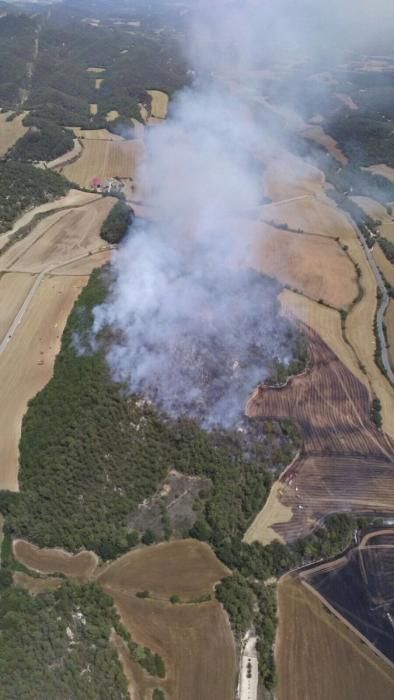 Incendi forestal a Bellprat