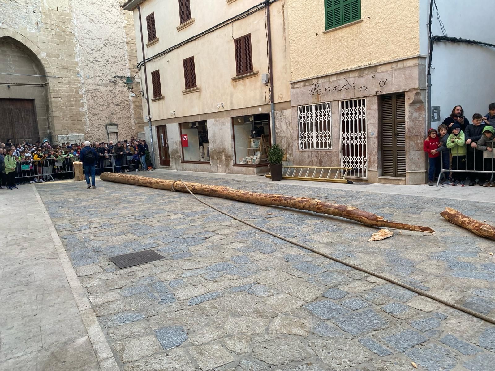 Adiós al Pi de Sant Antoni