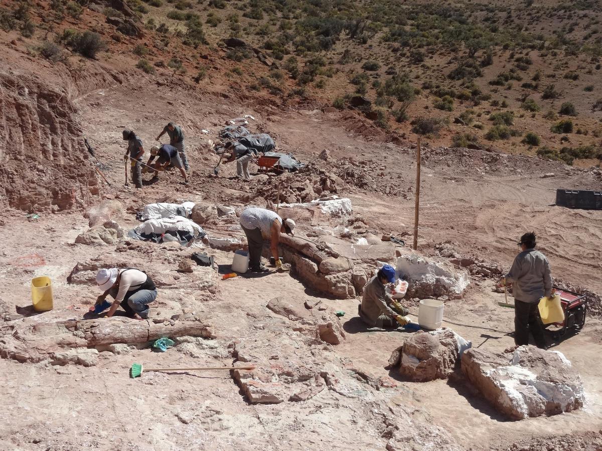 Zona de la excavación de restos de dinosaurios del MEF en la Patagonia.