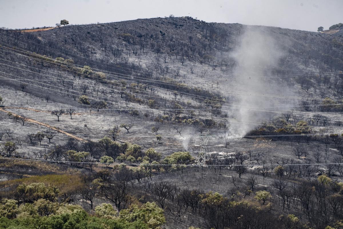  Zona arrasada por las llamas del incendio declarado en la zona próxima a Casa de Miravete y Deleitosa, este domingo. 