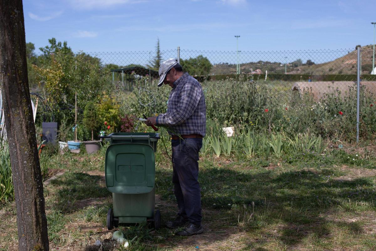 GALERÍA | Huertos municipales en Zamora: Creando comunidad entre tomates y cebollas
