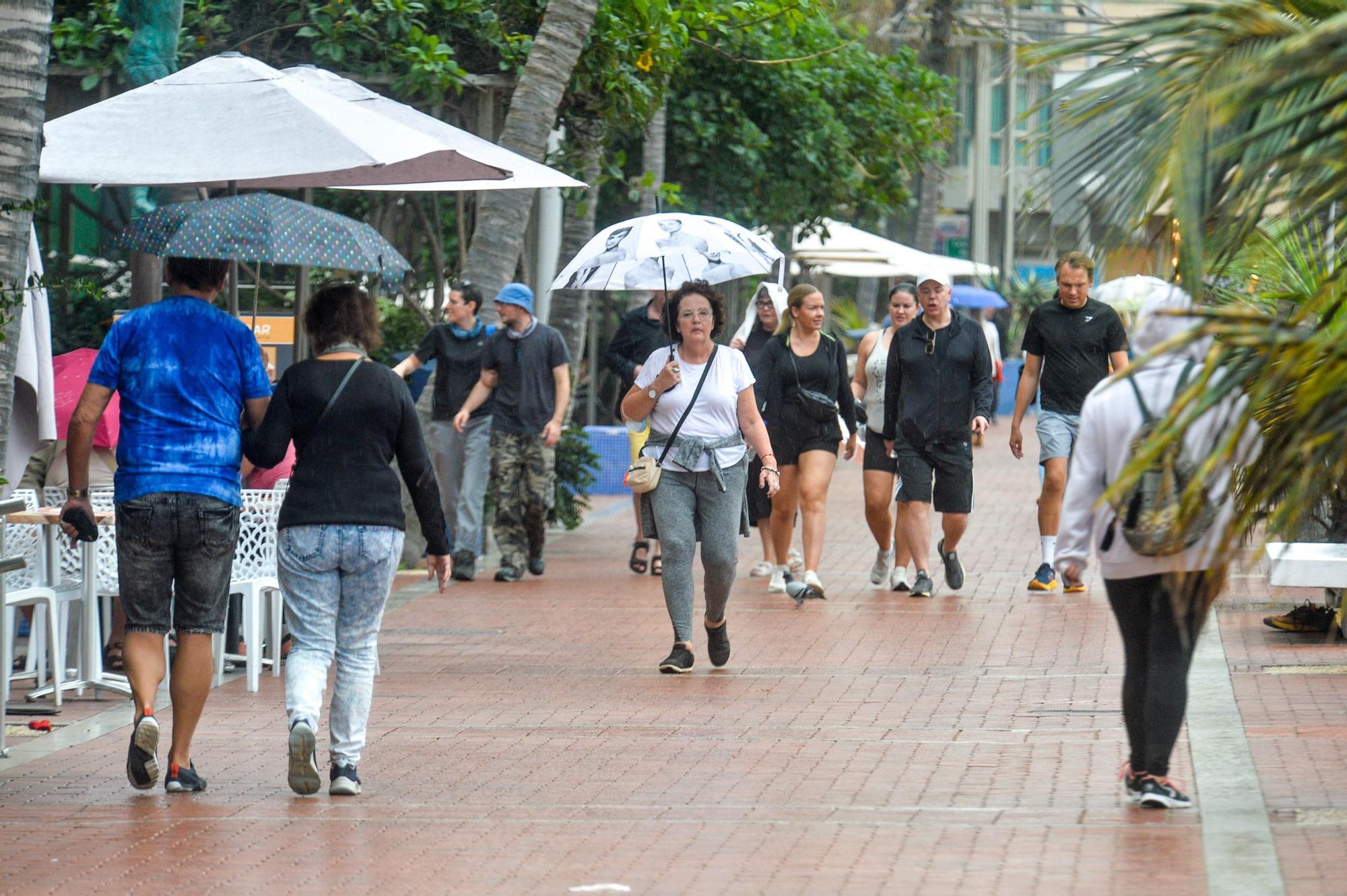 Tiempo en Las Palmas de Gran Canaria (7/12/2022)