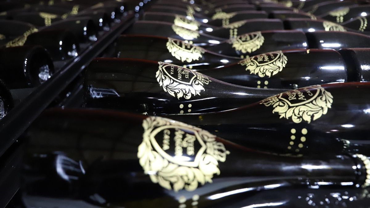 Cava Reyes de Aragón.