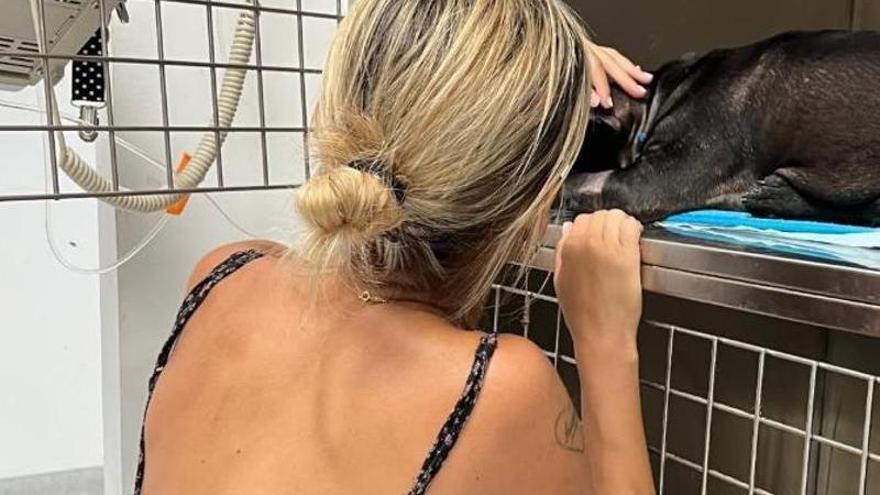 Oriana Marzoli, rota por lo que le ha ocurrido a su perro: &quot;Me estoy muriendo&quot;