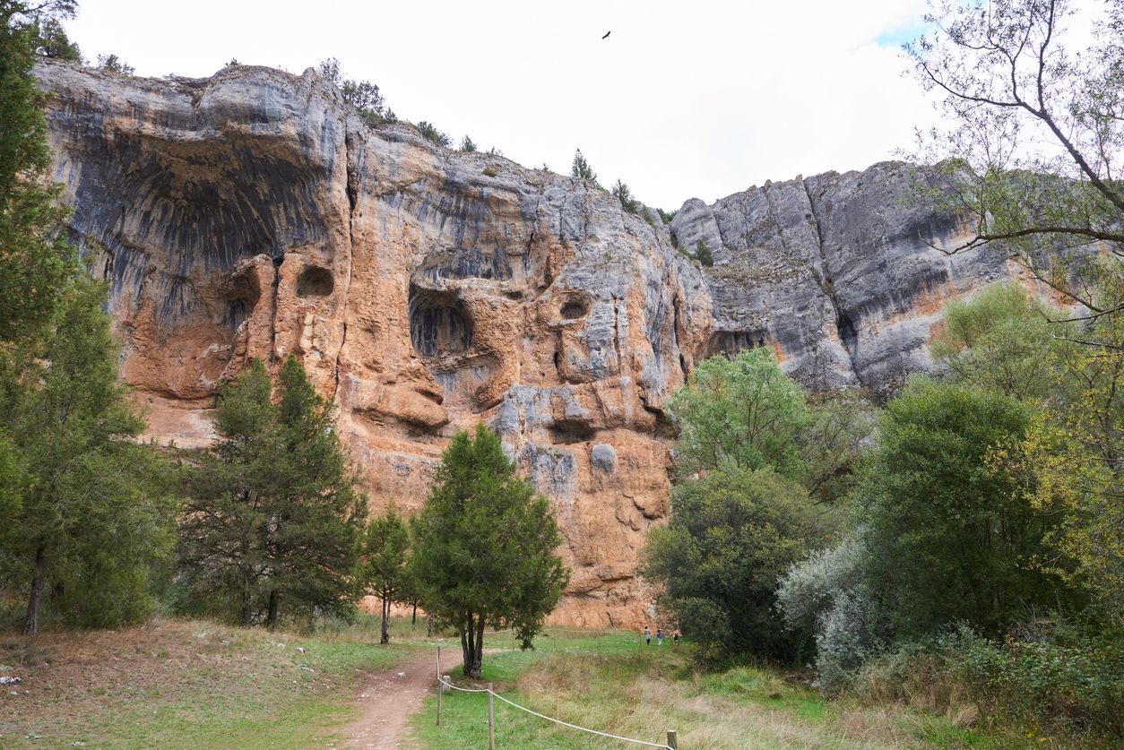 El cañón del río Lobos alberga una de las colonias de buitres leonados más grandes de Europa.