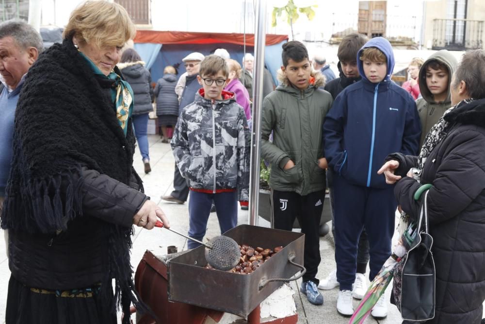 Los saucanos mantienen viva su tradición